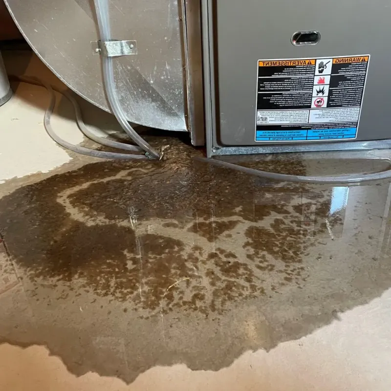 Pipe Burst and Leak Restoration in Aberdeen, SD